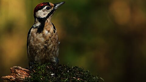 Marjolein de Jong ontmoet Rieks Smook voor Planken Wambuis. Zij staan buiten en zijn met elkaar in gesprek.